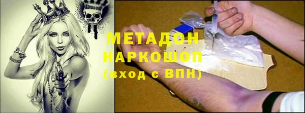 индика Алексин
