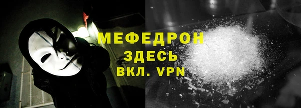 индика Щигры