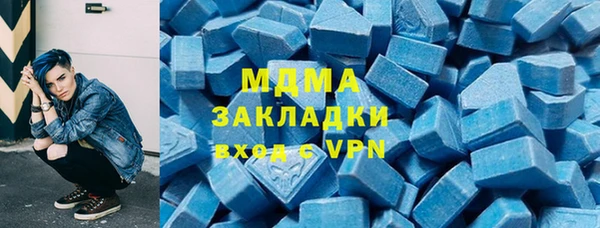 индика Алексин