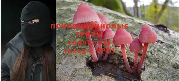 кокс Алексеевка