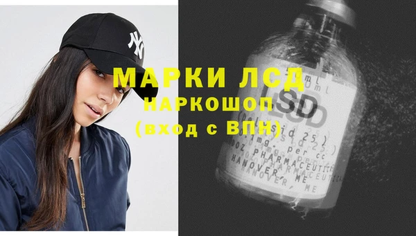 индика Алексин
