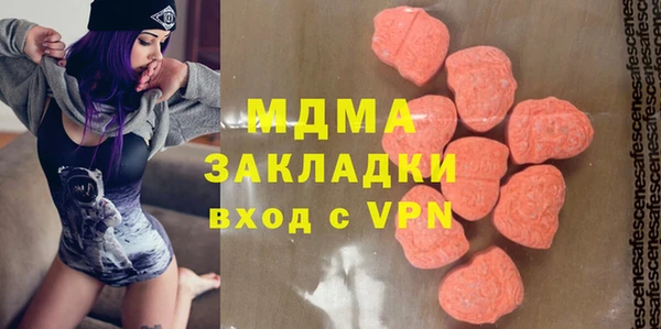 индика Алексин