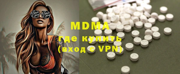 индика Алексин