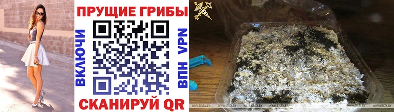 Галлюциногенные грибы Cubensis Нижний Тагил